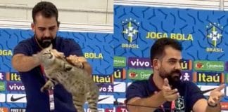 Qatar WC A cute cat wandered into one of Brazil's press conferences, and then was literally thrown out
