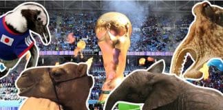 Which team will win the World Cup final