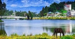 Tourists Cheer as Road Link Between Siliguri and Mirik Restored via Dudhia