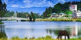 Tourists Cheer as Road Link Between Siliguri and Mirik Restored via Dudhia