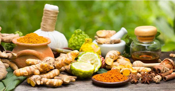 Powerful Ayurvedic herbs and their benefits