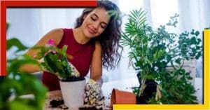 Your Home Clean And Green