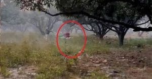 bomb found near punjab chief minister bhagwant mann house