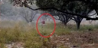 bomb found near punjab chief minister bhagwant mann house