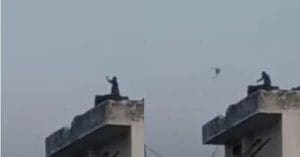 monkey started flying kite