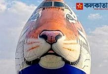 Project Cheetah: A special plane will land in India with 12 Cheetahs on Shivratri
