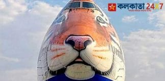 Project Cheetah: A special plane will land in India with 12 Cheetahs on Shivratri