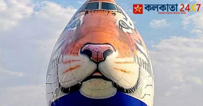 Project Cheetah: A special plane will land in India with 12 Cheetahs on Shivratri
