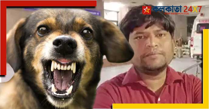 dog bite case in Mumbai city