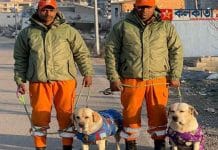 NDRF's Romeo-Julie saved the life of a 6-year-old girl