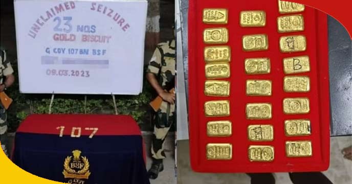 BSF Has Recovered 23 Gold Biscuits From International Border In West Bengal's North 24 Paragana