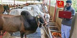 Due to increase in price, buyers of beef in Bangladesh have decreased
