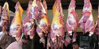 Uttar Pradesh Yogi Adityanath Government Orders Ban on Sale of Fish and Meat Near Religious Places, Complete Shutdown During Festivals