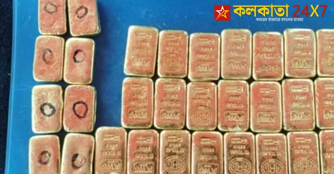 BSF ,Gold Biscuits ,West Bengal News,  West Bengal