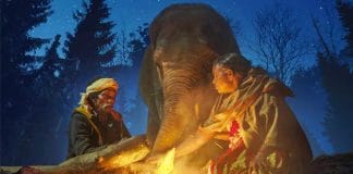 indian-movie-the-elephant-whisperers-got-oscar-2023