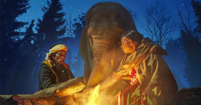 indian-movie-the-elephant-whisperers-got-oscar-2023