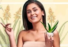 Skin Care: গরমে ত্বকের যত্ন নিতে ব্যবহার করুন অ্যালোভেরা, প্রাণ ফিরে পাবে ত্বক Aloe Vera Skin Care: Natural Solution for Healthy and Glowing Skin
