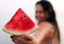 watermelon: ফ্রিজে নয় তরমুজ, গরমে সুস্থ থাকতে খান স্বাভাবিক তাপমাত্রার তরমুজ Fresh Watermelon Slices on a Plate - Perfect Summer Snack