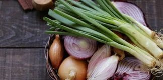 Vegetable Price List: Check Today's Market Rates and Latest Prices Here