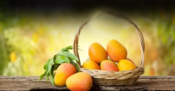 Mango-on-EMI - Businessman Selling Fruit on Installments