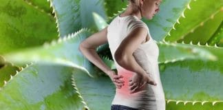 Woman holding a glass of Aloe Vera Juice to relieve back pain