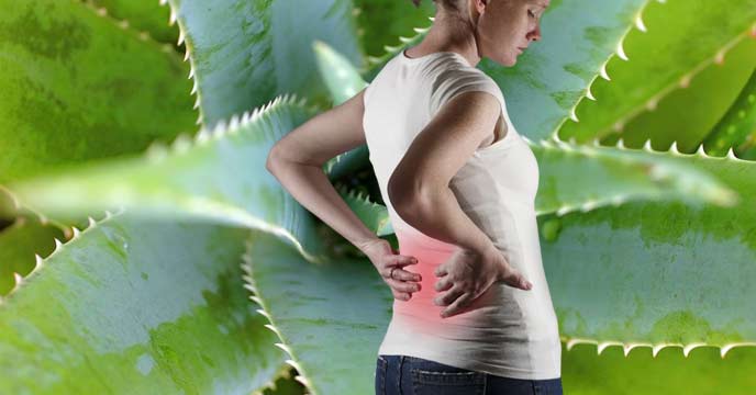 Woman holding a glass of Aloe Vera Juice to relieve back pain