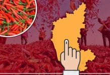 Pushpa chilli Karnataka