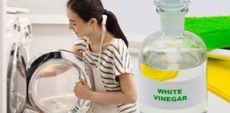 Sparkling Clean Dishes using Vinegar