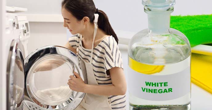 Sparkling Clean Dishes using Vinegar