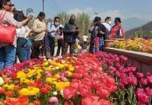 Jammu and Kashmir Tourist Spots to Begin Reopening from Tuesday