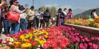 Jammu and Kashmir Tourist Spots to Begin Reopening from Tuesday