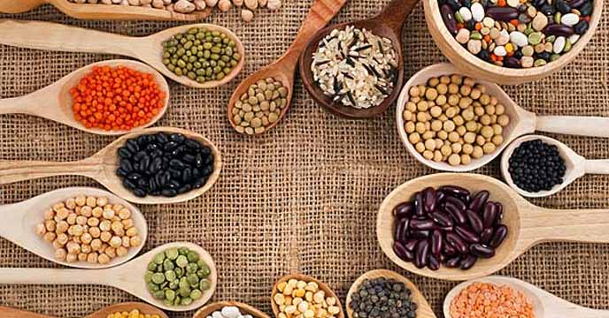 Relieve Constipation and Bleeding with These Types of Pulses