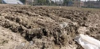 From Sports to Agriculture: Abhishek Banerjee's Sangyog Yatra Leads to Malda Stadium Turning Into Plowed Land