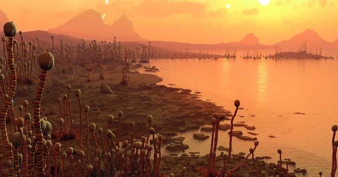 Book Missing on Mars Sparks Alien Fears, Scientists Worried