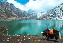 Discover the Happiest State in India: Experience Bliss in mizoram and sikkim