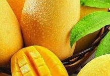 Mango: Differentiating Between Naturally Ripened and Carbide-Ripened - How to Identify