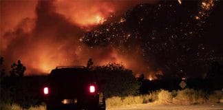 Canada Engulfed in Massive Wildfires: 43,000 Hectares of Land Devoured by Flames