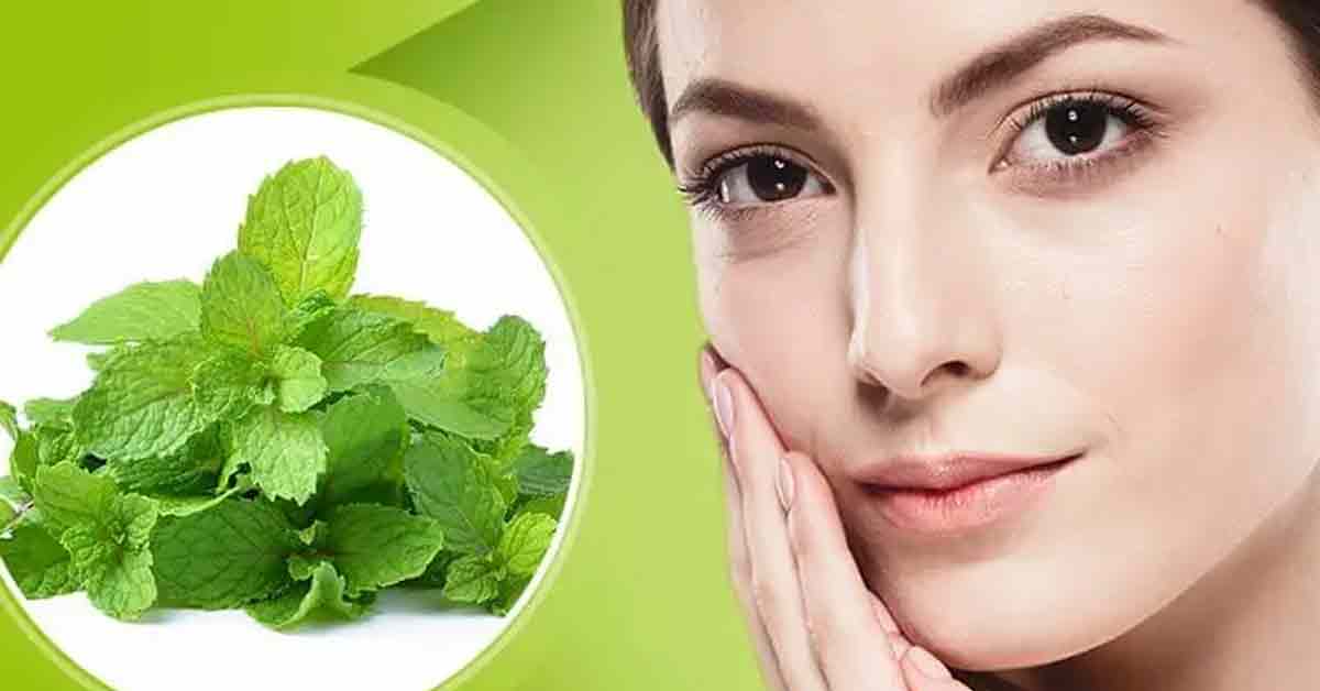 Discover the Hidden Potential of Mint Leaves for Skincare
