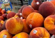 Discovering the Purpose of Fruit Stickers: Unveiling the Hidden Reason