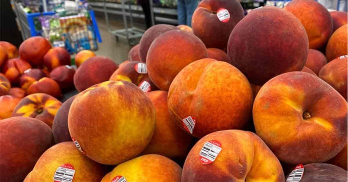 Discovering the Purpose of Fruit Stickers: Unveiling the Hidden Reason