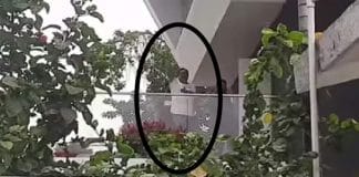 বাইরে তৃণমূল সমর্থকদের ঘন ঘন চিৎকার দাদা দাদা...। দিনভর এমন চিতকার চলেছে। বিধায়ক কৃষ্ণকল্যাণী (MLA Krishnakalyani)এক ঝলক বারান্দায় এক সময় বারান্দা থেকে সমর্থকদের দিকে হাত নাড়েন।