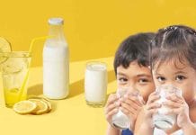 Water or Milk: জলের সাপ্লিমেন্ট দুধ! কি বলছেন বিশেষজ্ঞরা Water or Milk: What Do the Experts Say about the Perfect Beverage Supplement?
