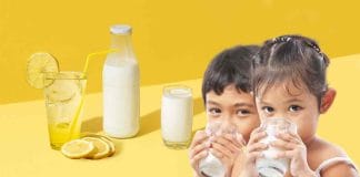 Water or Milk: What Do the Experts Say about the Perfect Beverage Supplement?