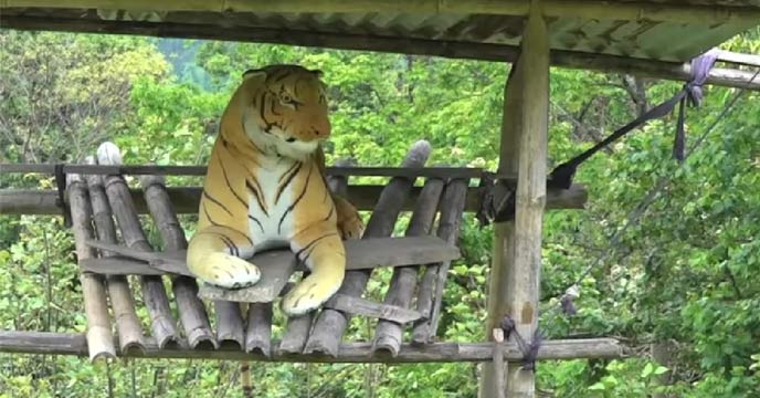 Stuffed tigers used in Bhutan to scare away animals from harming crops