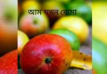 Mango Bomb: আম-বোমা! ভয়াবহ বিস্ফোরণের নতুন ছক বানচাল