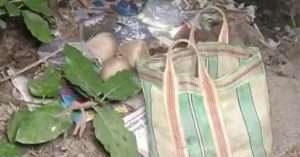 Bhangar bomb recovery