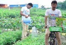 Meet the 'Tree Man of Haryana': Constable on a Mission to Make Sonipat Green