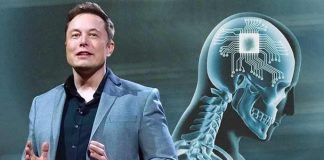 Elon Musk AI Firm XAI