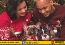 Fabinho Al Ittihad dog