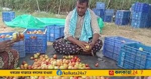 Farmer Chandramouli